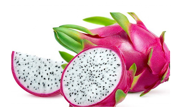 Dragon Fruit Suppliers in Malappuram