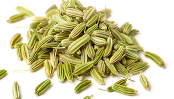 Saunf (Fennel) Suppliers