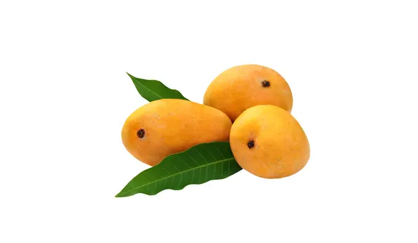 Kesar Mango Suppliers in Pacode