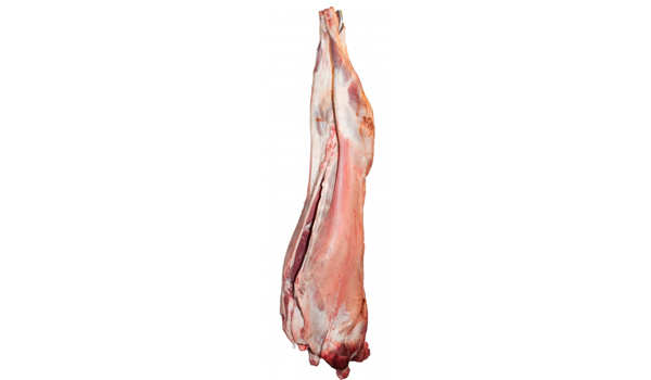 Frozen Mutton Suppliers