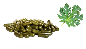 Papaya Leaf Capsules Suppliers