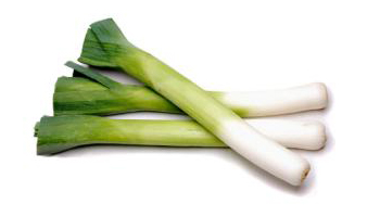 Leek Suppliers