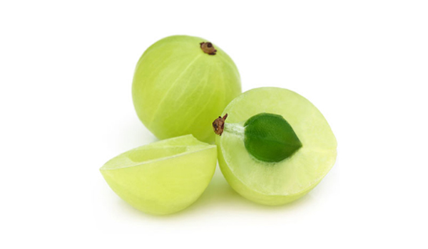 Amla Suppliers in Solapur