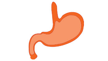 Online Gastroenterologists Consultation Services Suppliers