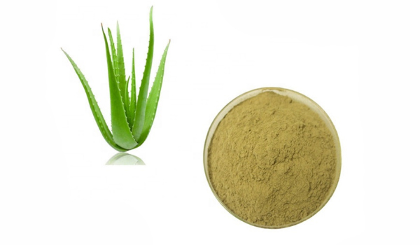 Aloe Vera Formulations Suppliers