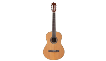 Classical Guitars Suppliers