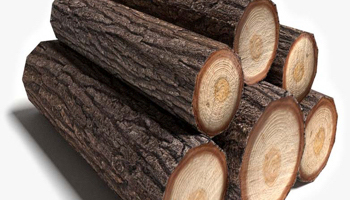 Oak Wood Suppliers