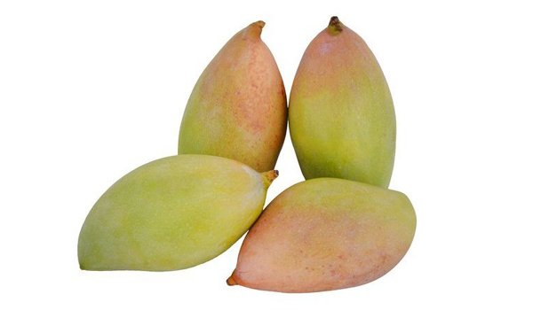 Totapuri Mangoes Suppliers in Natham