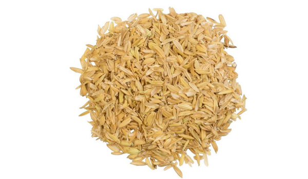 Rice Husk Suppliers