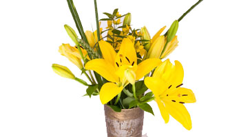 Lily Bouquet Suppliers