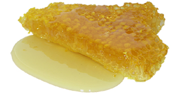 Honey Suppliers in Mandvi