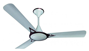 Ceiling Fans Suppliers in Shrirampur