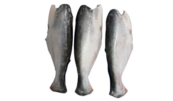 Basa Fish Suppliers