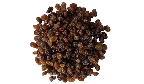 Brown Raisins Suppliers in Sinnar