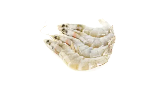 Flower Prawn Suppliers in Nigeria