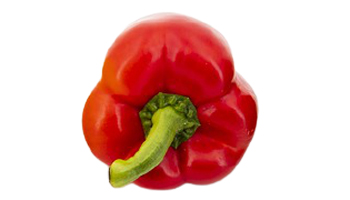 Red Capsicum Suppliers