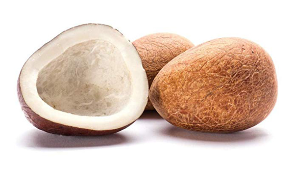 Coconut Copra Suppliers in Terdal