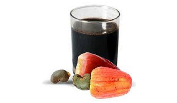 Cashew Nut Shell Oil Suppliers