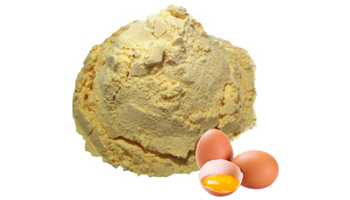 Powdered Egg Suppliers