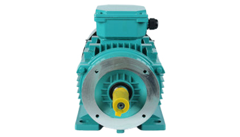 Dual Voltage Motors Suppliers