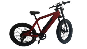 Electric Cycles Suppliers in Tirora