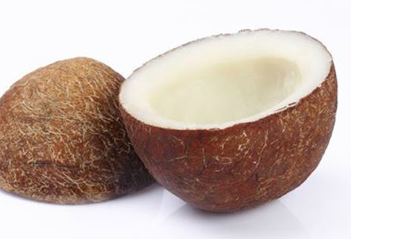 Husked Coconut Suppliers in Belagavi