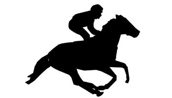 Equestrian Sports Suppliers