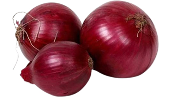 Red Onion Suppliers in Vadodara