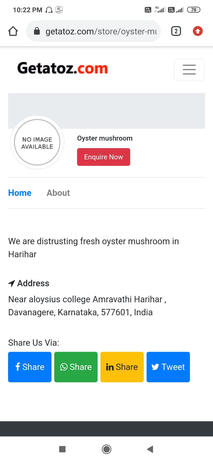 Oyster mushroom 