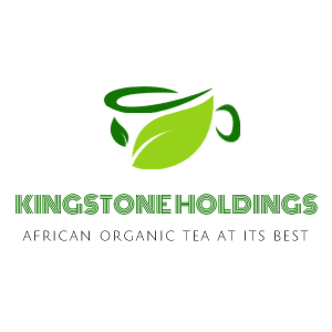 Kingstone Holding 