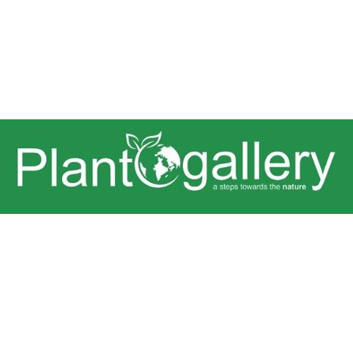Planto Gallery E nursery