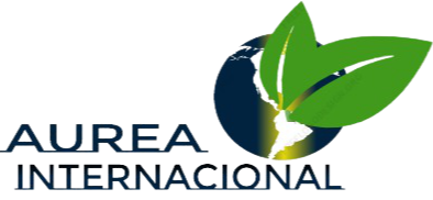 AUREA INTERNACIONAL 