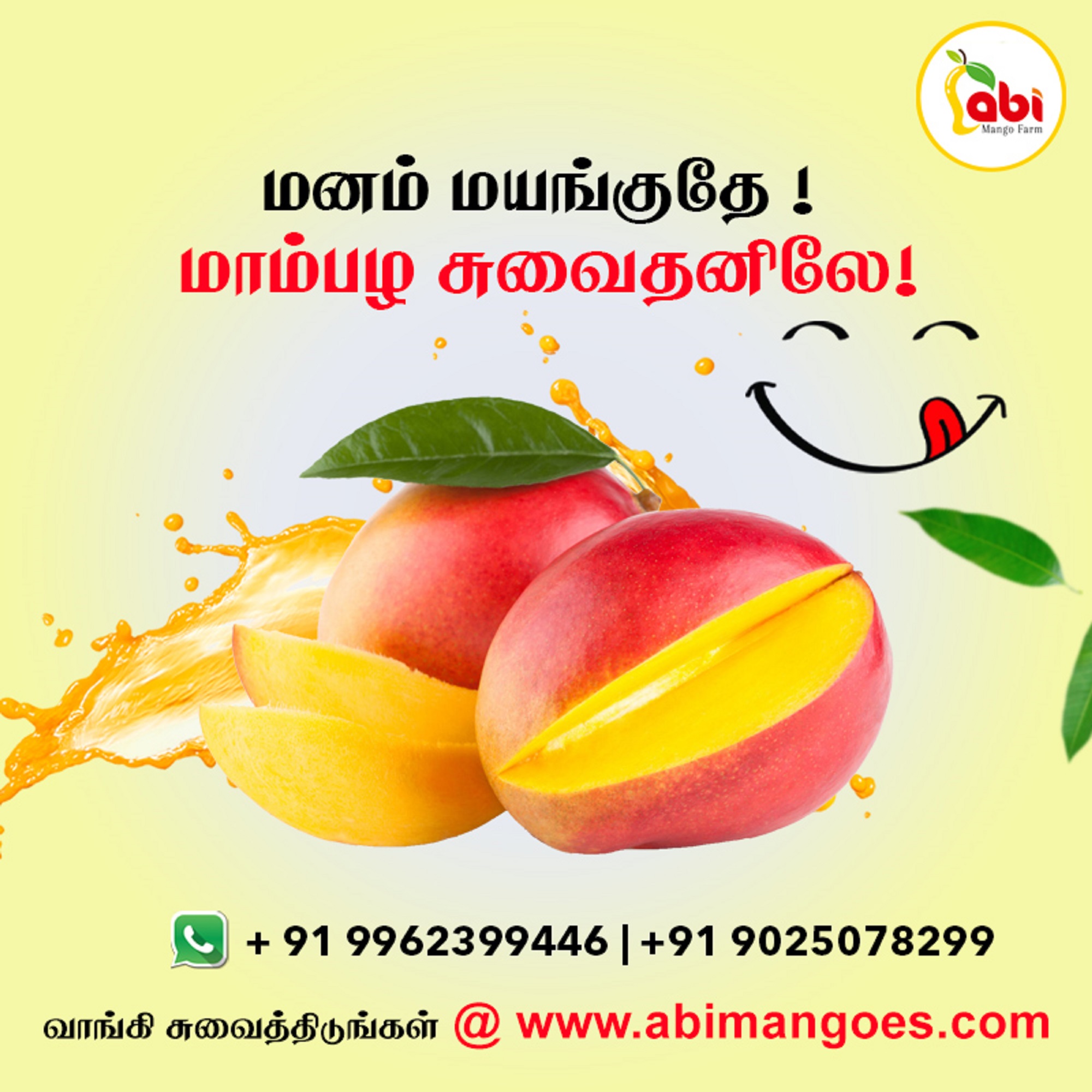 Buy Indian Mangoes Online | Alphonso Mangoes Online