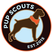 OC Pup Scouts