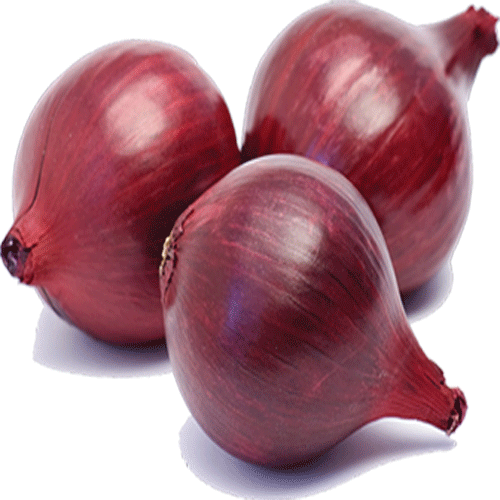 Best Quality Red Onion  from WHITE SPORE