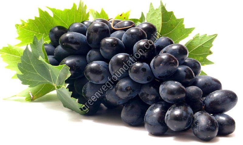 Export Quality Fresh Black Grapes from Green Veg Foundation(NGO)