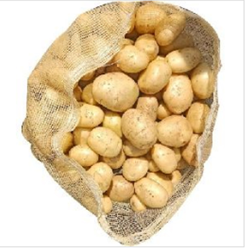 Organic Fresh Potato from Dhanraj World of Export