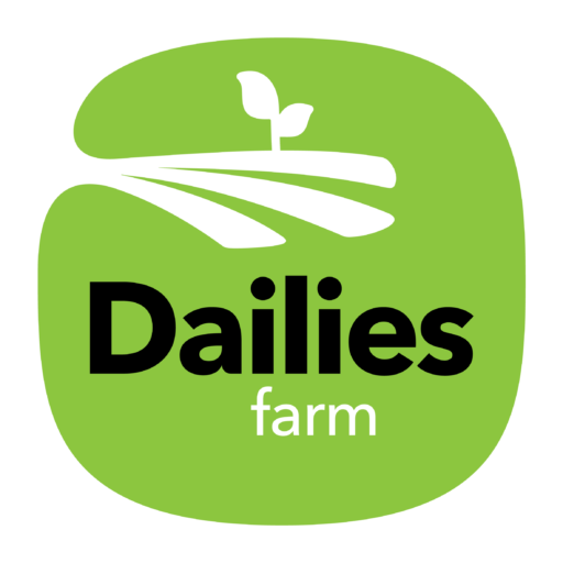 dailias