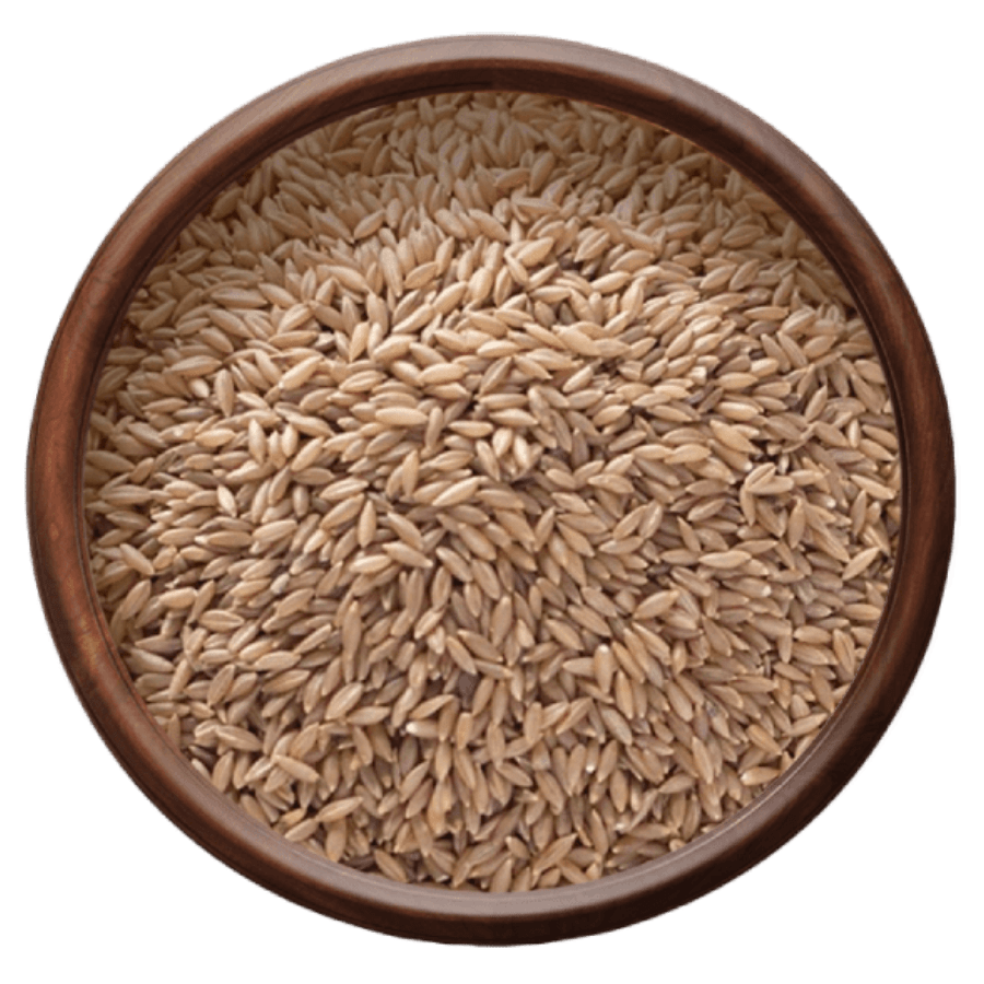 Best Quality Bambo Rice from GK HERBAL EXPORTS