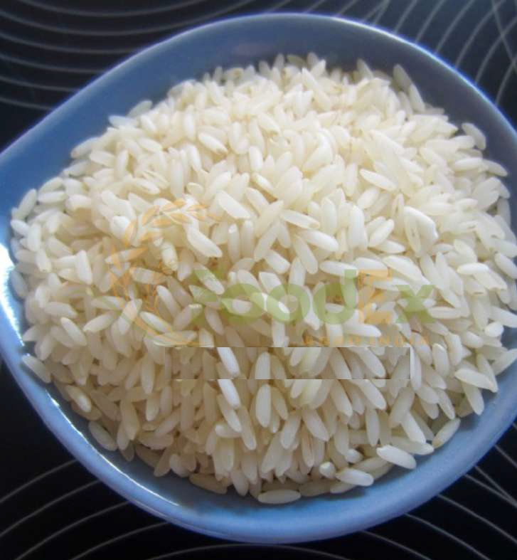 Sona Masoori Raw Rice