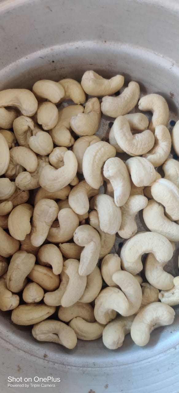 W240 Export quality processed Cashew nuts from RJR Exports