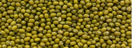 Green Mung Beans from AUREA INTERNACIONAL 