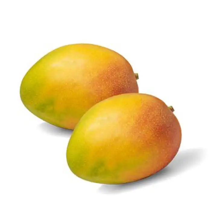  Best Quality fresh mango from Farm Right Ghana Limited