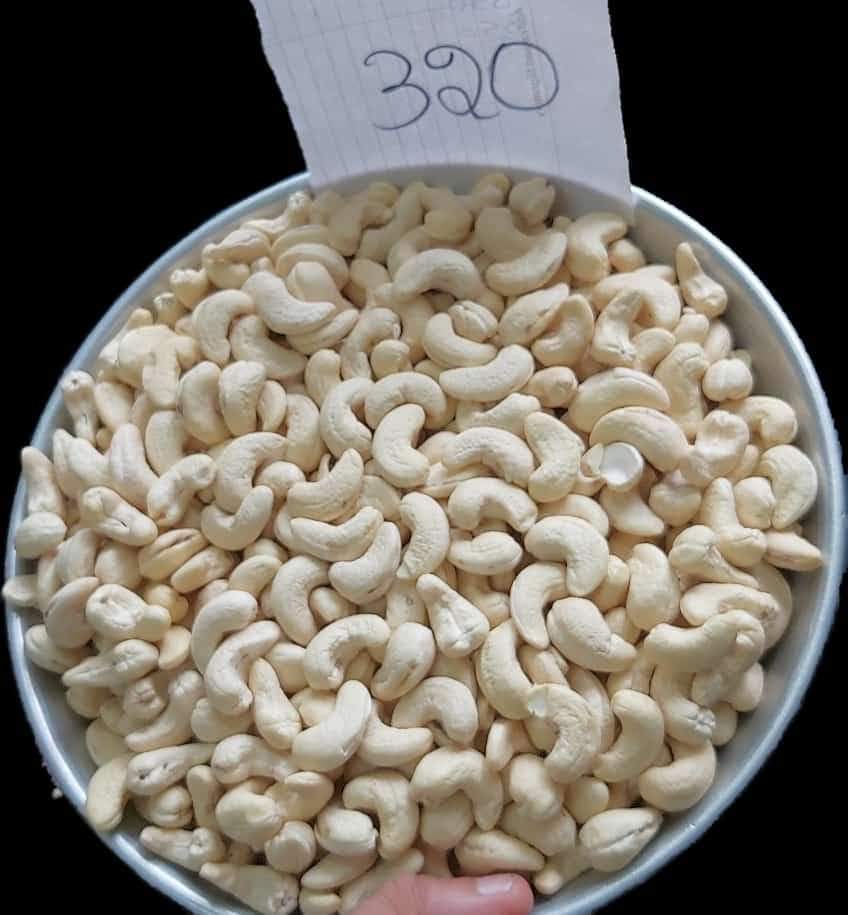Top Quality Cashew Nut W320 from JANKI AGRO INDUSTRY