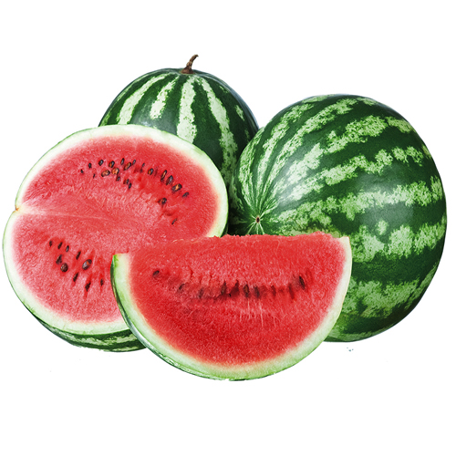 Fresh Watermelon from EXPO TRADING