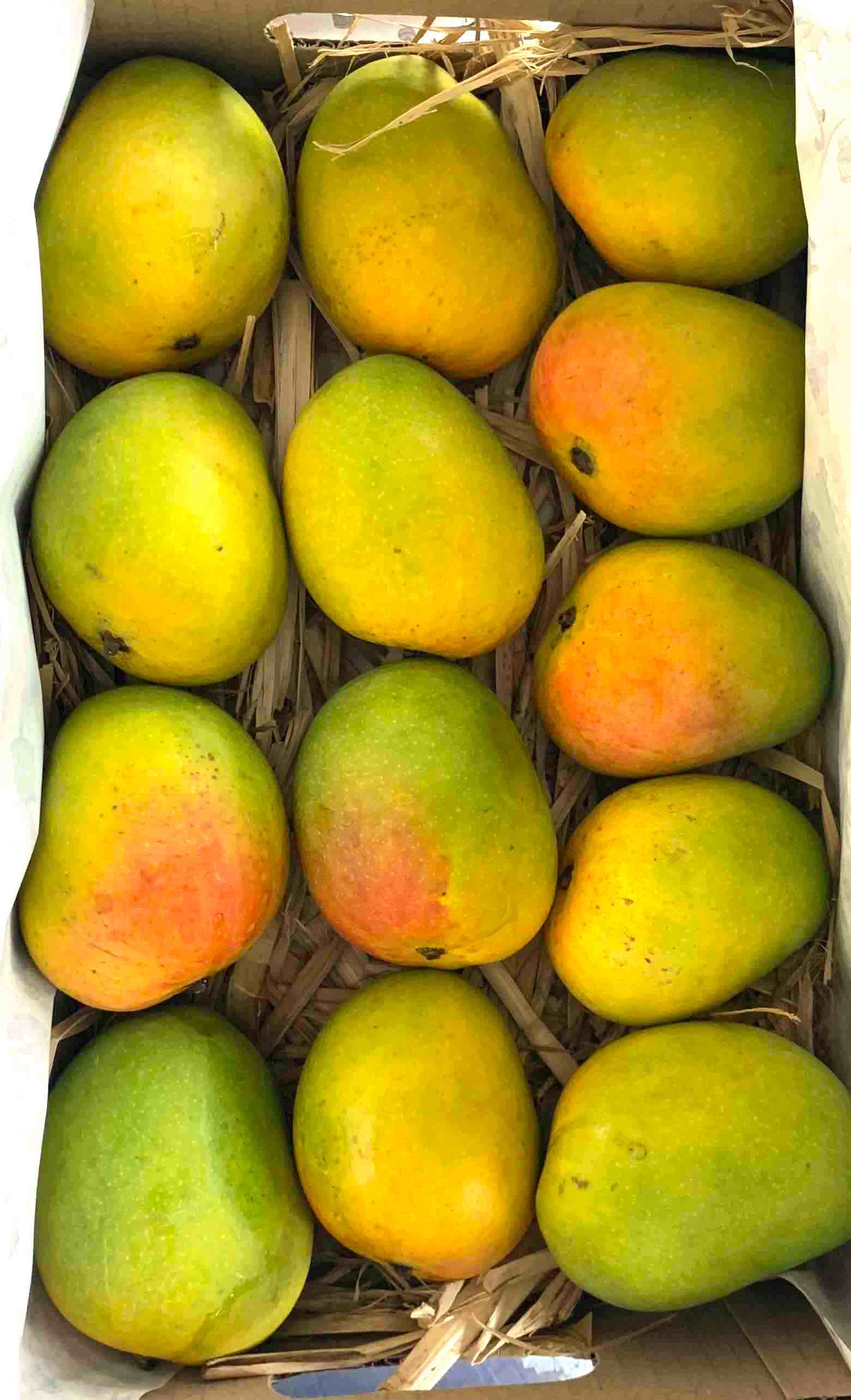 A Grade Badami Alphonso Mangoes