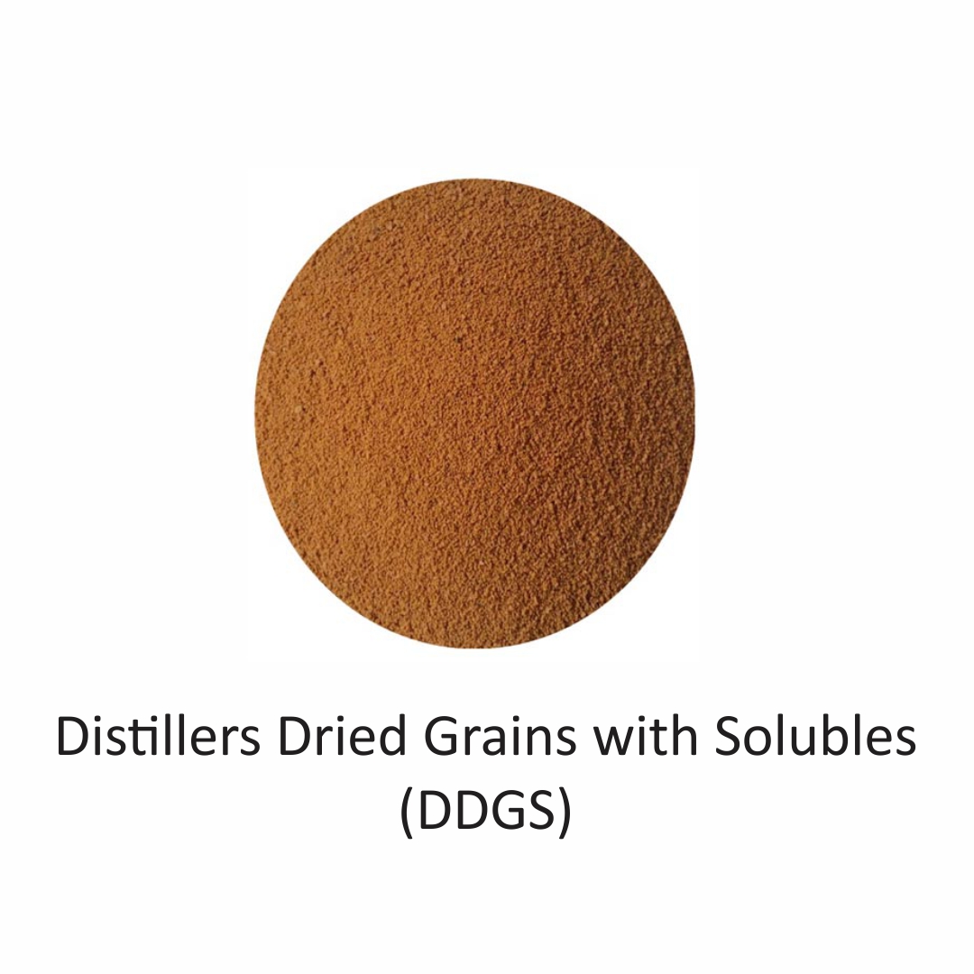 Rice Distillers Dried Grains with Solubles (DDGS) from Tanmaay Exports