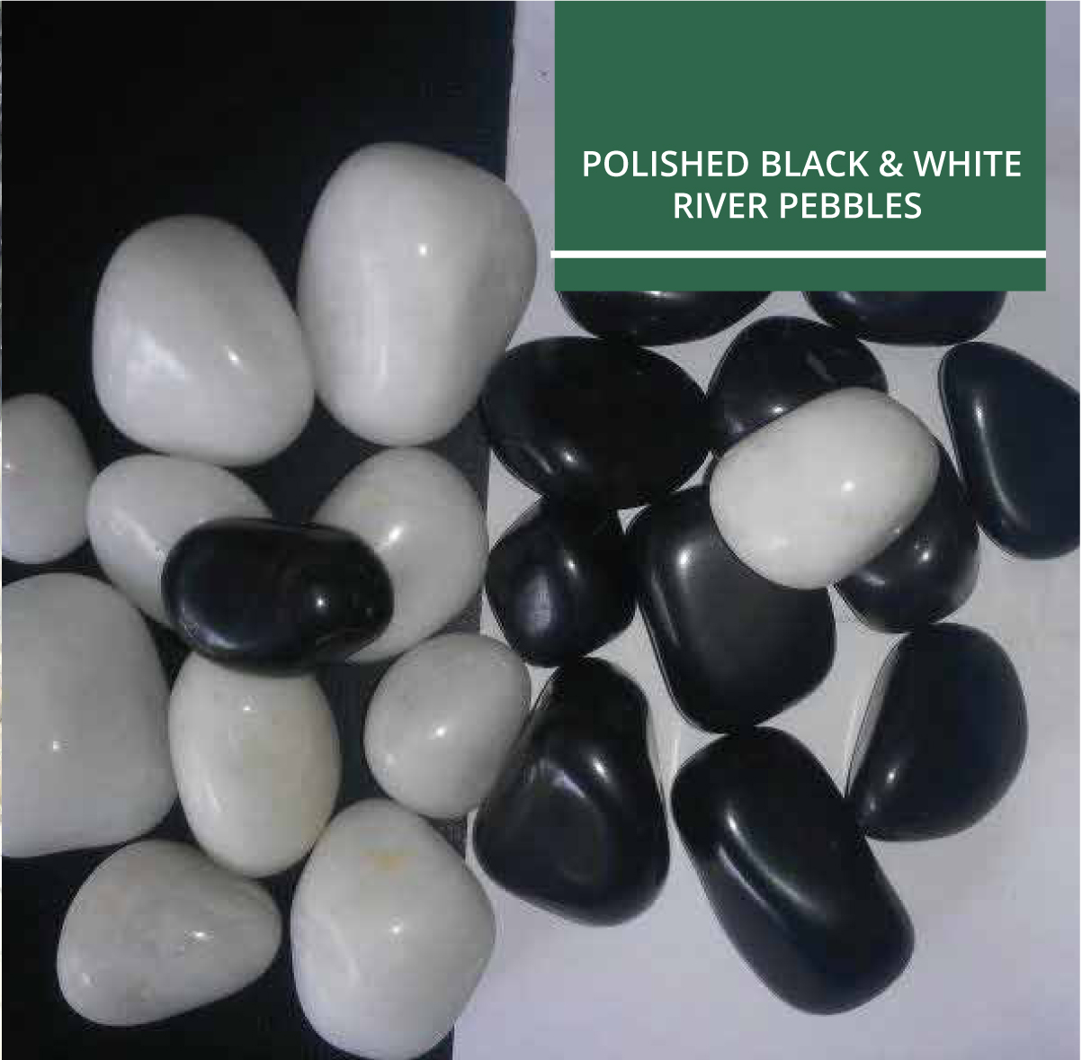 Polished Black & White River Pebbles