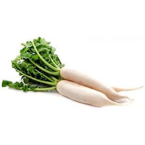 Fresh Premium Quality Radish from Sarkar Store