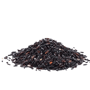 Best Quality Black Rice from GK HERBAL EXPORTS